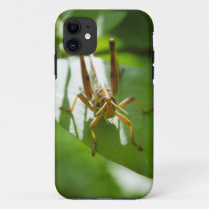 Grasshoppers on green leaf iPhone Case