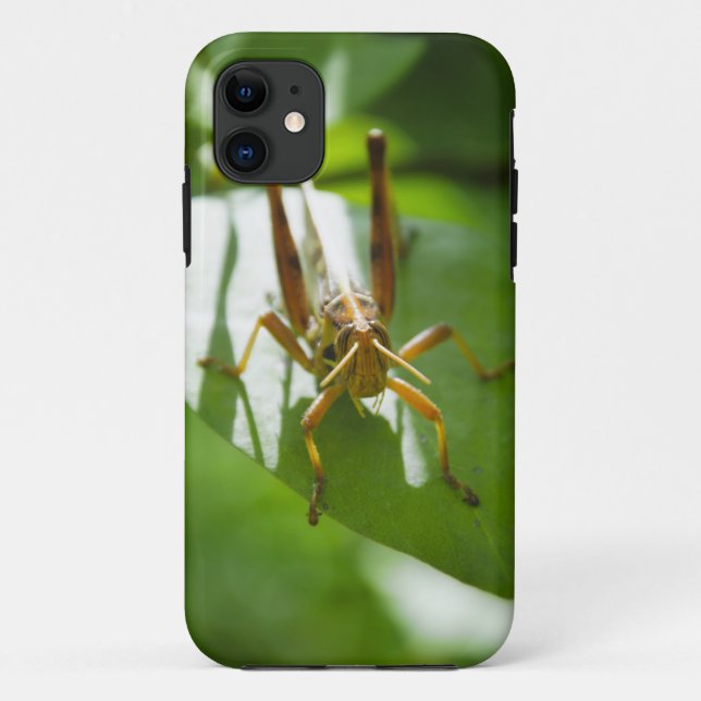 Grasshoppers on green leaf iPhone Case (Back)
