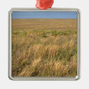 Grassland prairie east of Sidney, Nebraska. Metal Ornament