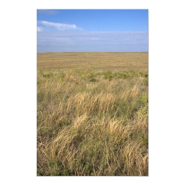 Grassland prairie east of Sidney, Nebraska. Photo Print (Front)