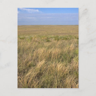 Grassland prairie east of Sidney, Nebraska. Postcard