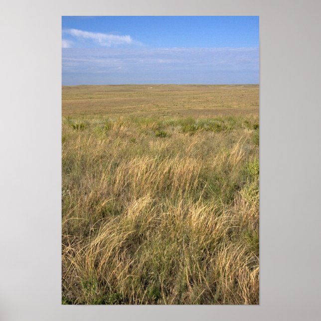 Grassland prairie east of Sidney, Nebraska. Poster (Front)