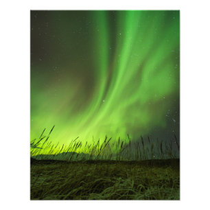 Grasslands Aurora Photo Print