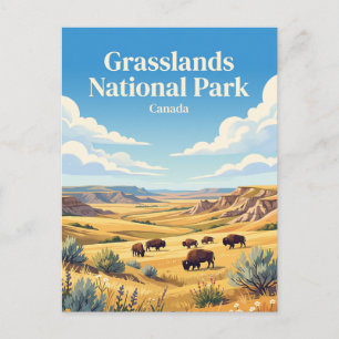 Grasslands National Park Canada Postcard