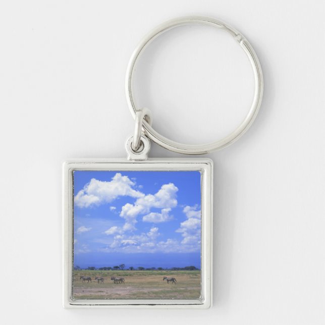 Grassy Plain Keychain (Front)