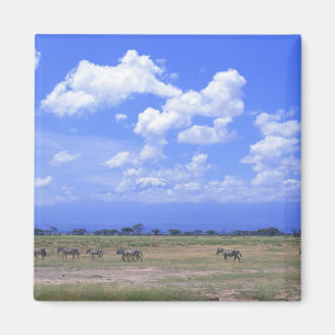 Grassy Plain Magnet