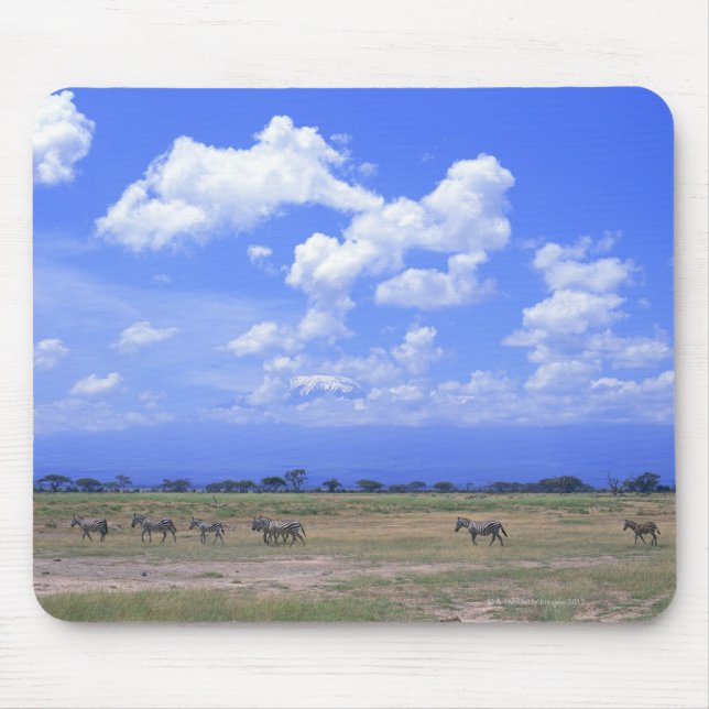 Grassy Plain Mouse Pad (Front)
