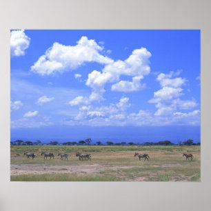 Grassy Plain Poster