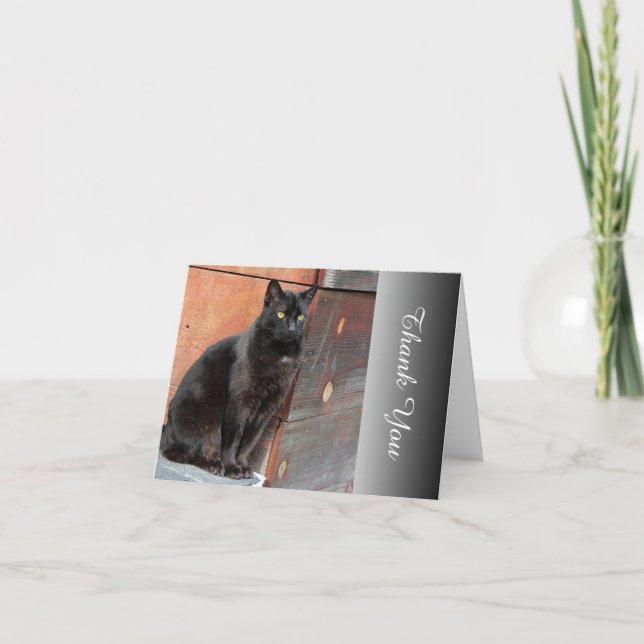 Grateful Black Cat Thank You Note Card (Front)