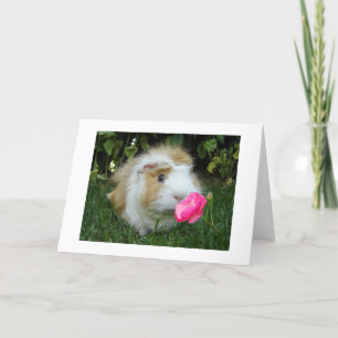 GRATEFUL GERBIL HAPPY IT'S "YOUR" BIRTHDAY NOT HIS CARD