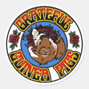Grateful Guinea Pig Classic Round Sticker