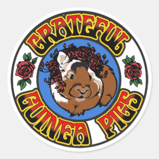 Grateful Guinea Pig Classic Round Sticker