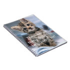 Grateful Kitten Journal
