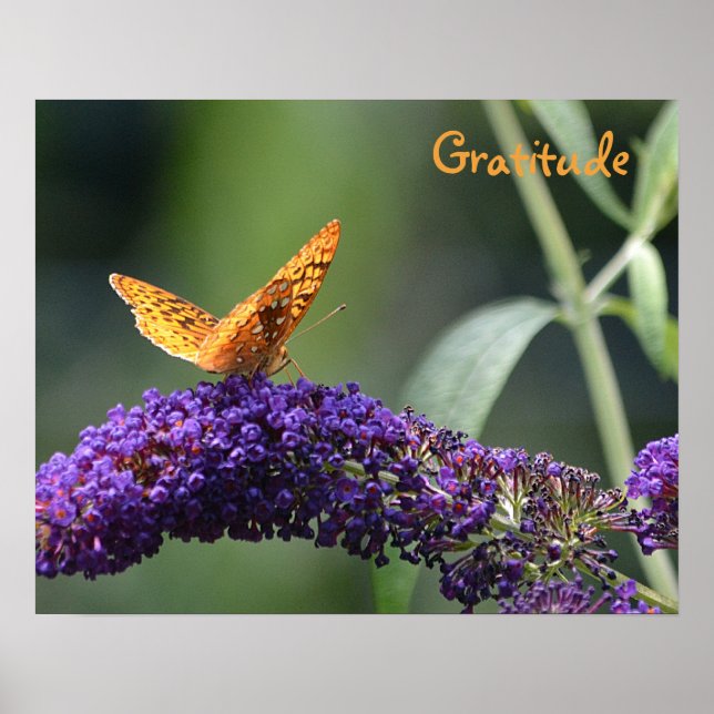 Gratitude Butterfly Poster (Front)