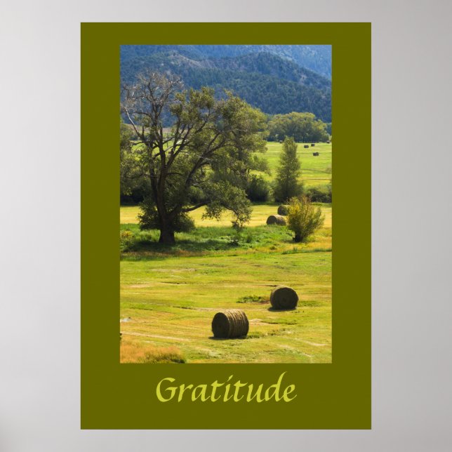 Gratitude Inspiration Poster (Devant)
