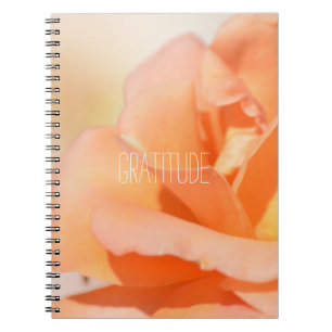 Gratitude Journal