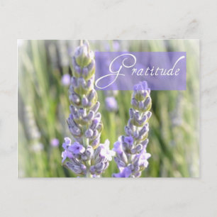 Gratitude Lavender Floral Post Card
