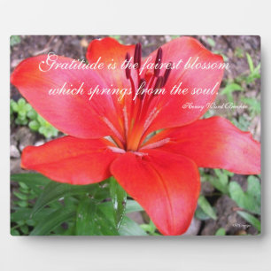 Gratitude Lilie Plaque