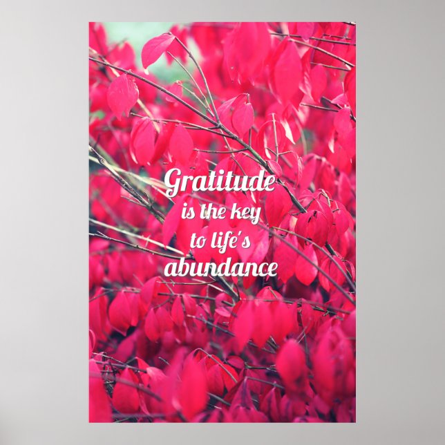 Gratitude Poster (Front)