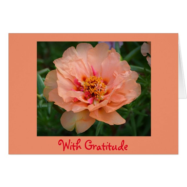 Gratitude Thank You Card (Front Horizontal)