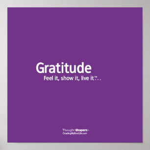 Gratitude Thought Shapers™ Poster