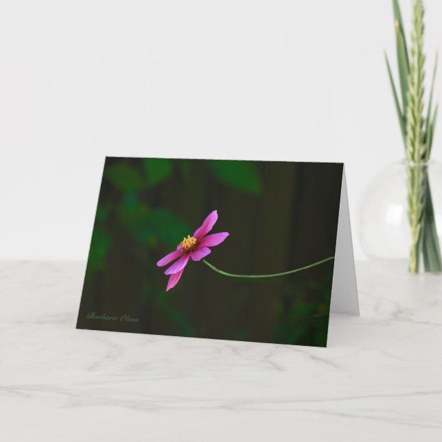 Gratitude: with Quote Card (Front)