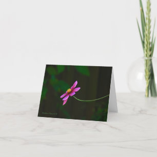 Gratitude: with Quote Thank You Card