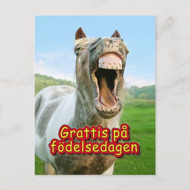 Grattis på födelsedagen postcard (Front)