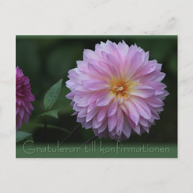 Gratulerar till konfirmationen CC0503 Postcard (Front)