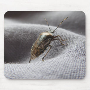 Graue Gartenwanze buggy stink bug Mouse Pad