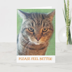 Grave carte de bien-être Kitty Get