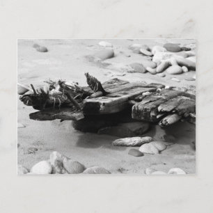 Graveyard Coast Shipwreck Remains Postcard