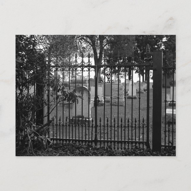 Graveyard Greetings! - Postcard #1 (Front)