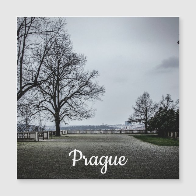 Gray autumn day in Prague Magnet (Front)
