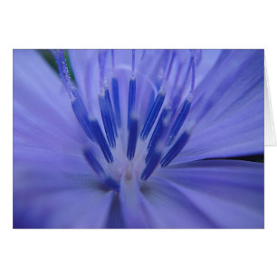 Gray card blue middle of flowers, blank