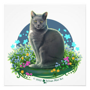 Gray Cat in the Flower Garden Photo Print
