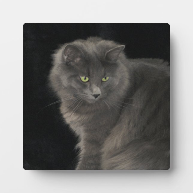 Gray Cat Long Hair Russian Blue Kitty Kitten Cute  Plaque (Front)