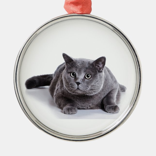 Gray Cat Metal Ornament (Front)