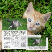 Gray Cat on Grass, Pet Adoption Event Advertising