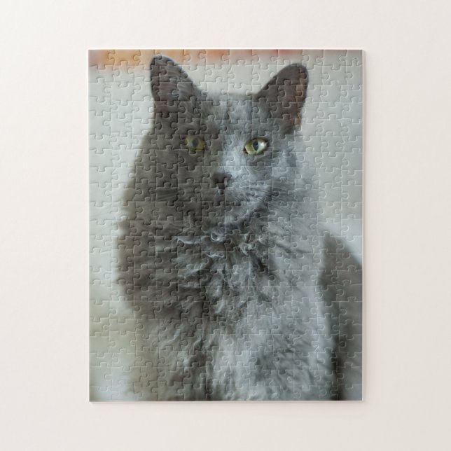 Gray Cat Puzzle (Vertical)