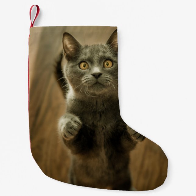 GRAY CAT STANDING IN TWO FEET SMALL CHRISTMAS STOCKING (Front)