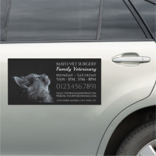 Gray Cat, Veterinarian, Veterinary Service Car Magnet