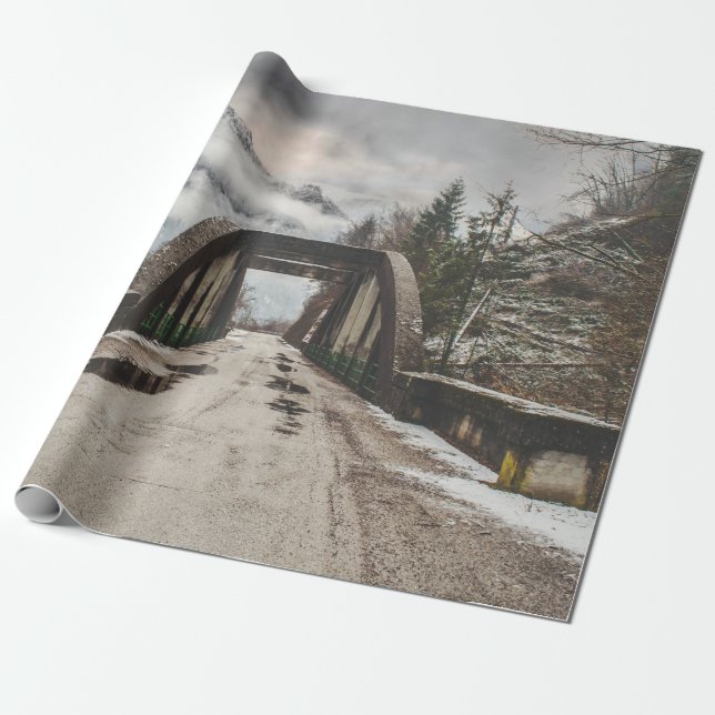 GRAY CONCRETE ARCH BRIDE BESIDE LEAFLESS TREE NEAR WRAPPING PAPER (Unrolled)