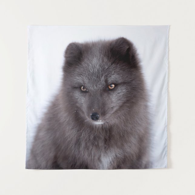 GRAY FOX TAPESTRY (Front)