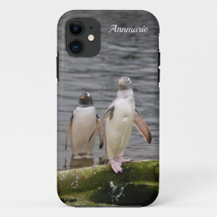 Gray Gentoo Penguin Edinburgh Zoo Scotland iPhone 11 Case