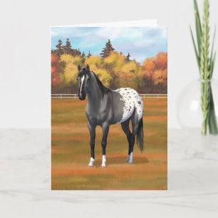 Gray Grulla Appaloosa Quarter Horse Stallion Card