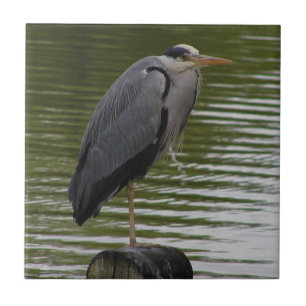 Gray Heron Tile