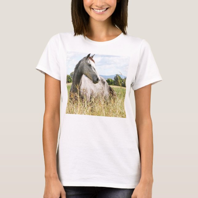Gray Horse in Paddock Long Sleeve Ladies T-Shirt (Front)