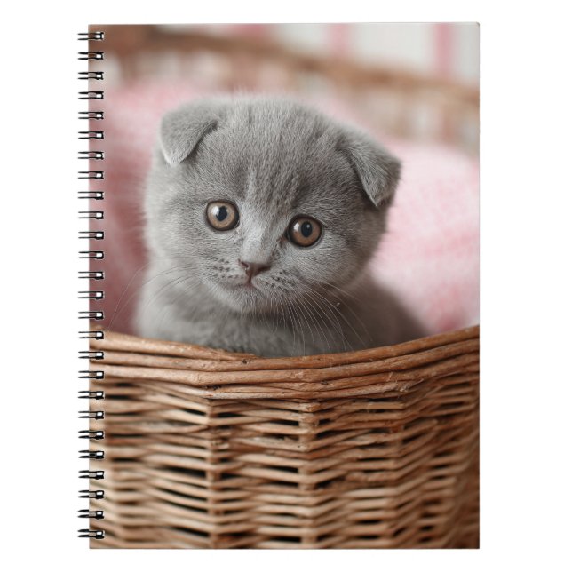 Gray Kitten in Basket Notebook (Front)