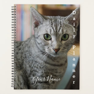 Gray Kitty - Planificateur quotidien- HAMbWG